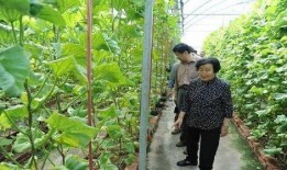 吃瓜网官网免费观看,热门剧集一网打尽！